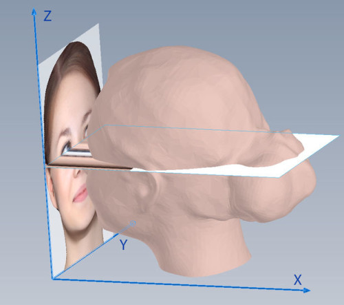 Cách giả làm mẫu in 3D tượng người full color