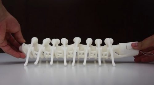 Thú vị với sinh vật in 3D chuyển động như thật