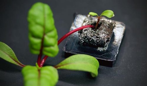 Áp dụng in 3D trong nông nghiệp - Tại sao không?