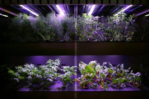 Áp dụng in 3D trong nông nghiệp - Tại sao không?