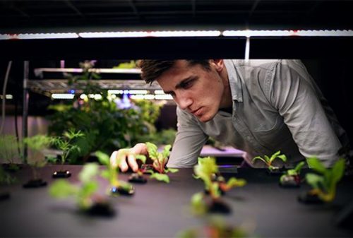 Áp dụng in 3D trong nông nghiệp - Tại sao không?